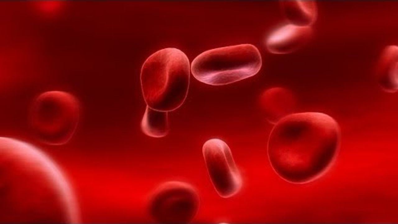Гемофилия: как жить с заболеванием? 